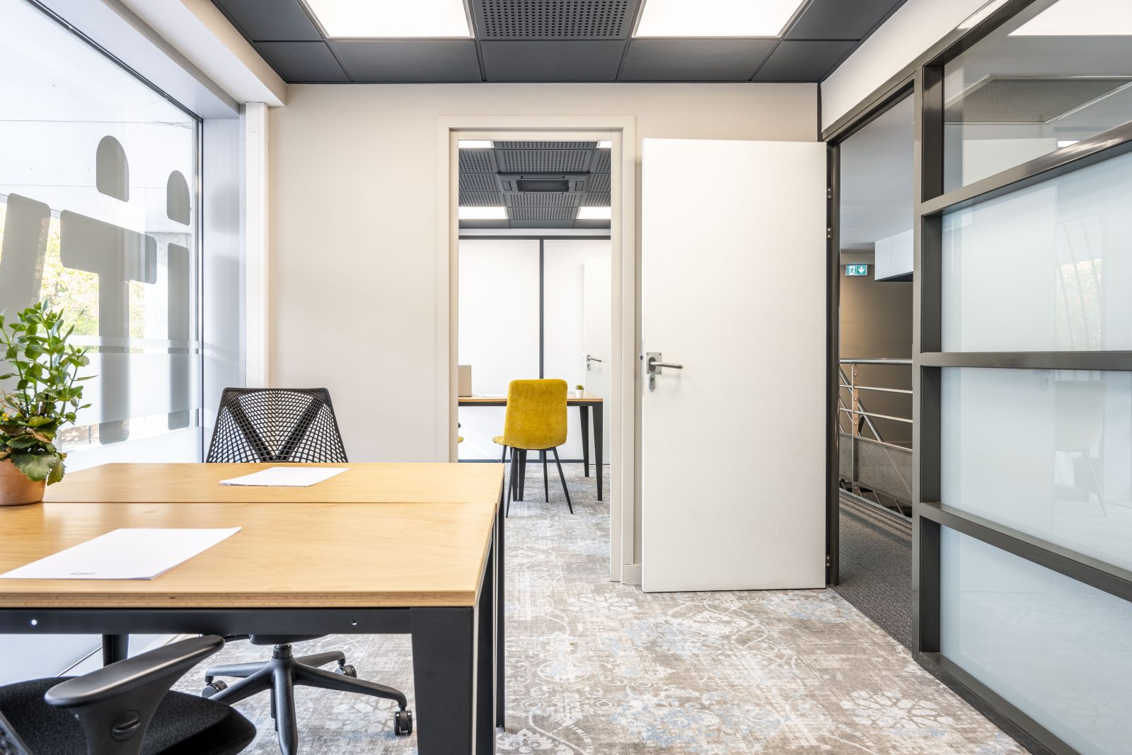 Mitwit Lille Europe